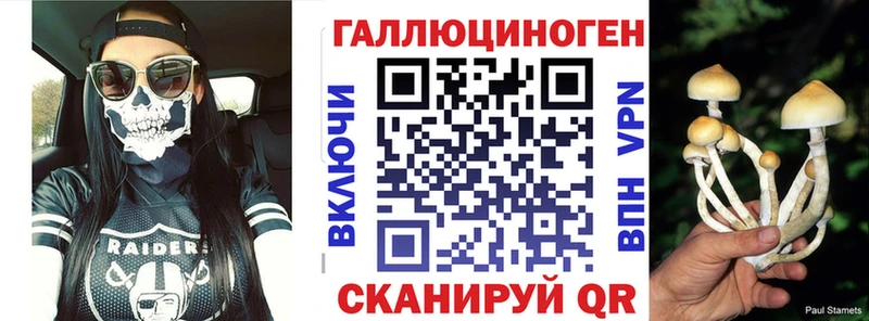 Купить закладки  Александровское  Галлюциногенные грибы Magic Shrooms 